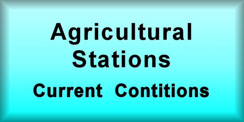  |** CURRENT AGRICULTURAL **|