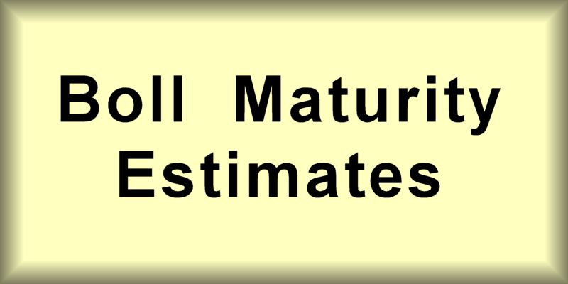  BOLL MATURITY